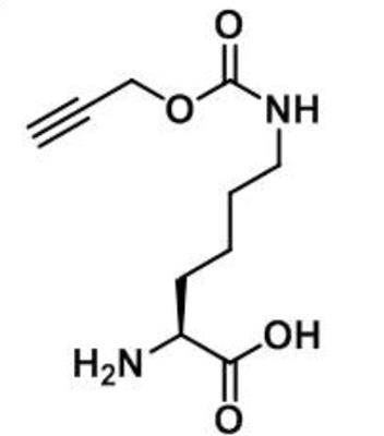 N-propargyloxycarbonyl-L-lysine,N-氧羰基-L-赖氨酸,1215204-46-8