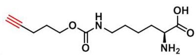N-Pentyn1yloxycarbonyl]-L-lysine,1428845-01-5,N-戊炔氧羰基]-赖氨酸