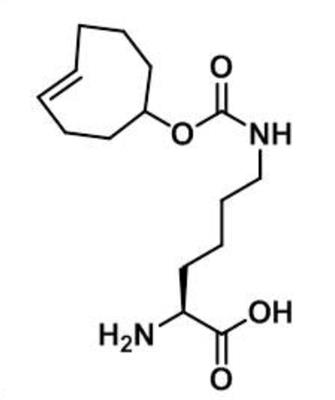 N-4E-TCO-L-lysine,反式-赖氨酸,1380349-88-1