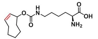 N-2E-TCO-L-lysine,1580501-94-5