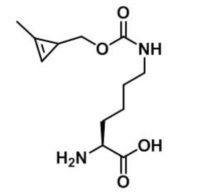 N-cyclopropene-L-Lysine,1610703-09-7