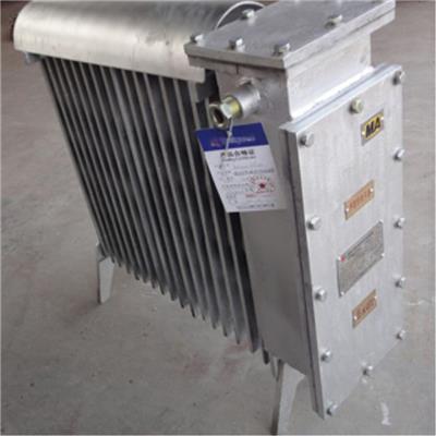 RB-2000煤矿用增安型电热取暖器