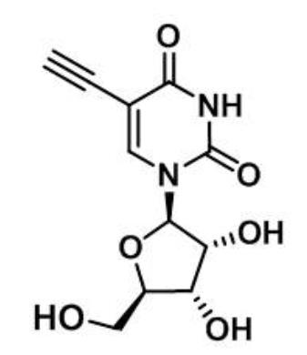5-基尿苷,CAS:69075-42-9,5-Ethynyl uridine