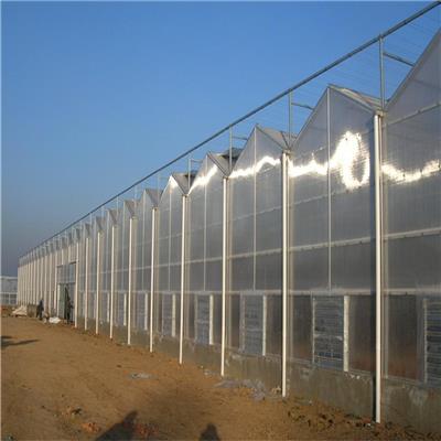 厂家直销阳光板温室大棚骨架材料 阳光板温室大棚建设