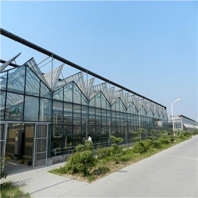 阳光板温室大棚造价施工 专注放心工程