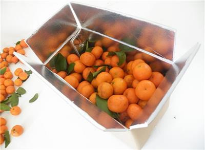 新型包装箱食品生鲜水果冷藏冷链铝箔保温箱_可折叠泡沫箱批发