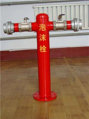 泡沫消火栓 MPS100/65 消防器材批发厂家 泡沫栓 PS100-65*2