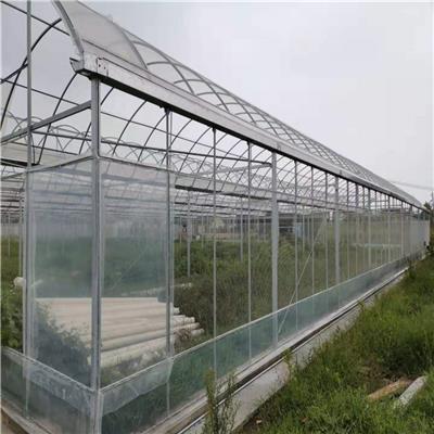 玻璃温室安装 玻璃温室大棚承建 金德鑫温室