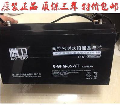 全新精卫蓄电池12V65AH 6-GFM-65-YT UPS电源**蓄电池