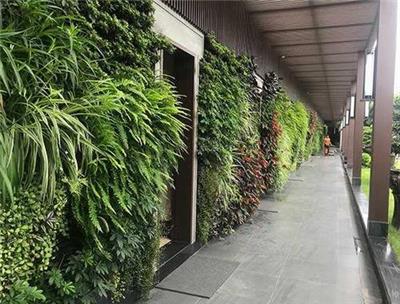 商场仿真植物墙