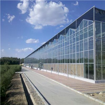 玻璃温室大棚 智能温室 设计 安装 厂家直供大棚骨架