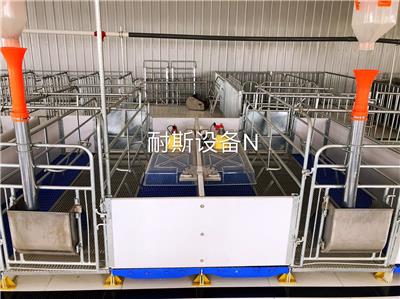 欧式产床耐斯养殖设备欧式分娩栏