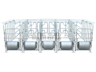 耐斯养殖设备 耐斯畜牧母猪定位栏限位栏
