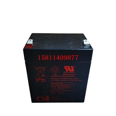 CSB蓄电池GPL121000 CSB蓄电池经销