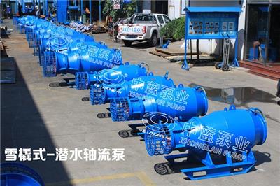 中藍500QZ/QZB-90KW潛水軸流泵**