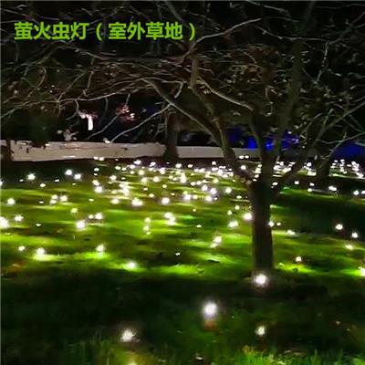 上海萤火虫灯草坪