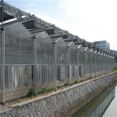 厂家专业设计阳光板温室大棚造价合理