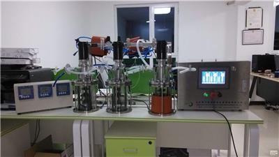 实验室实验室玻璃发酵罐 专业生产发酵罐