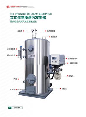  立式蒸汽发生器 燃气蒸汽发生器 蒸汽发生器  节能蒸汽发生器