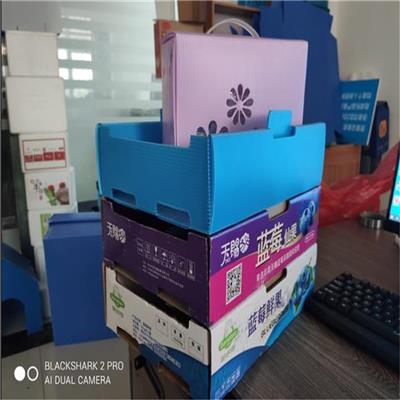 现货供应青岛塑料万通板蓝莓包装箱 量大价优可定制