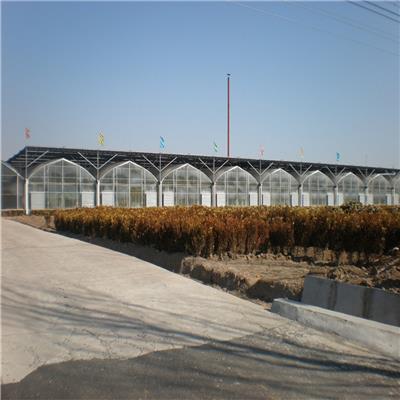 城市玻璃温室 节能温室大棚 文洛式玻璃温室承建-鸿川温室