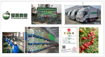 西安有几家专业蔬菜公司