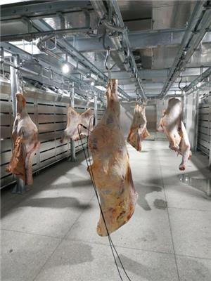澳洲牛肉冻肉解冻机 肉制品解冻设备 进口牛肉低温高湿解冻机