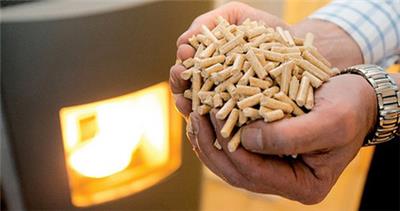 抚顺生物质木屑燃料|生物质颗粒锅炉|抚顺龙晟生物能源公司