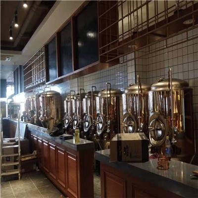 河北精酿啤酒设备 年产20吨啤酒设备 啤酒厂酿酒设备