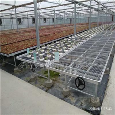 移动苗床潮汐苗床在温室栽培种的实用性