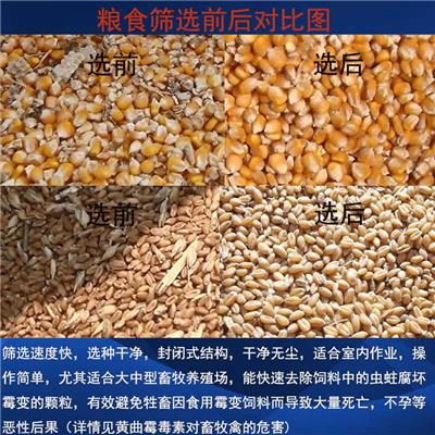宁津小麦精选机小麦选种机多重筛选精度更高