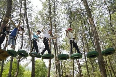 郑州景区丛林探险设备 无动力游乐 亲子互动探险闯关设备