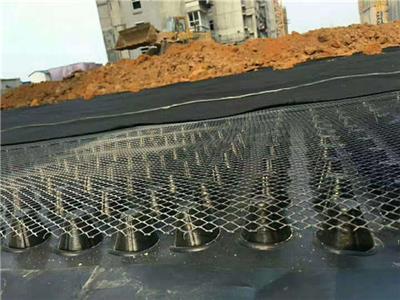 重庆排水板厂家 重庆塑料排水板厂家 重庆蓄排水板厂家
