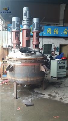 500L电加热反应釜生产厂家 广东搅拌釜