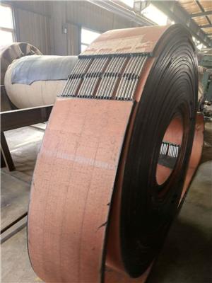 供应耐撕裂抽油机钢丝牵引带钢丝皮带改型产品
