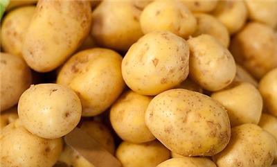 深圳农产品配送，土豆