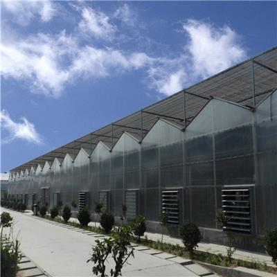 阳光板温室设计 大型阳光板温室工程建设