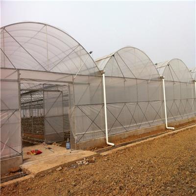农业温室大棚连栋薄膜温室建造