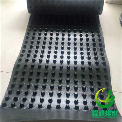 沧州凸壳型透水疏水板生产厂家