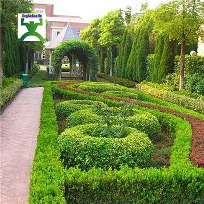 上海专业园林绿化方案