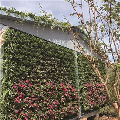 植物墙双孔种植盒 垂直绿化容器