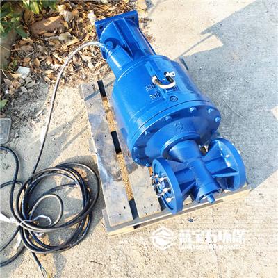 南京潜水推流器安装