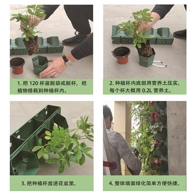 南京美贸种植盒规格 定制植物墙