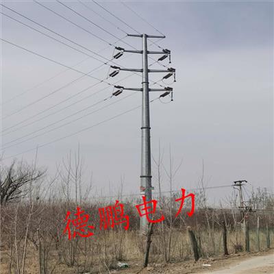 批发供应 福州 10kv-35kv 钢管杆 钢管塔