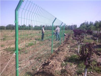 4.5mm双边丝护栏网 现货供应村庄、庄稼安全隔离网 草绿色围网