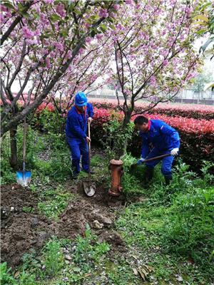 永州地下管道漏水点检测 上海浦东新区