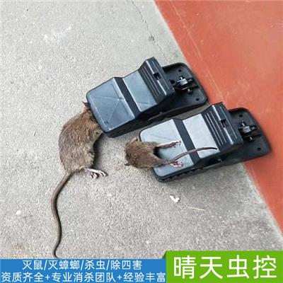 淮南饭店灭鼠公司电话