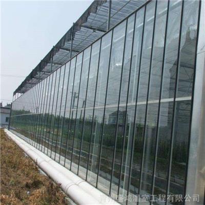 江苏苏州玻璃温室安装方法产品的辨别方法-新资讯