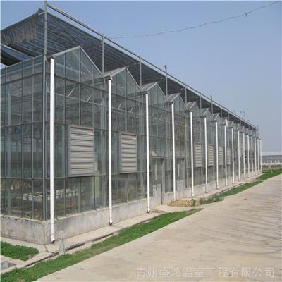 吉林德惠*的阳光板温室制造商-实力认证