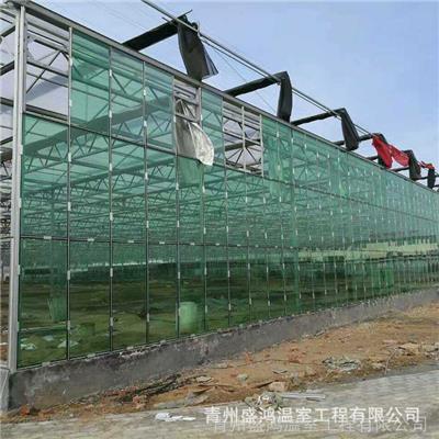 辽宁铁岭玻璃温室规格产品的生产与功能-品质**